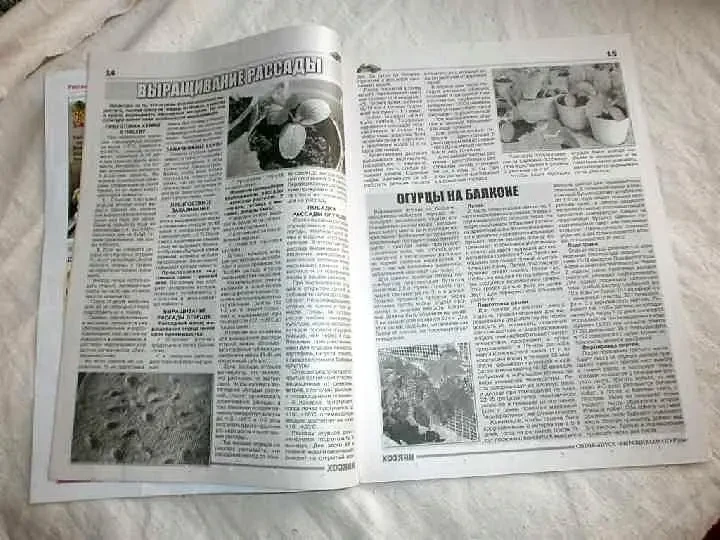 Журнал Выращиваем огурцы. р.а. Соломонова 2