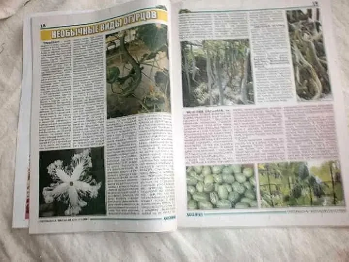 Журнал Выращиваем огурцы. р.а. Соломонова 4