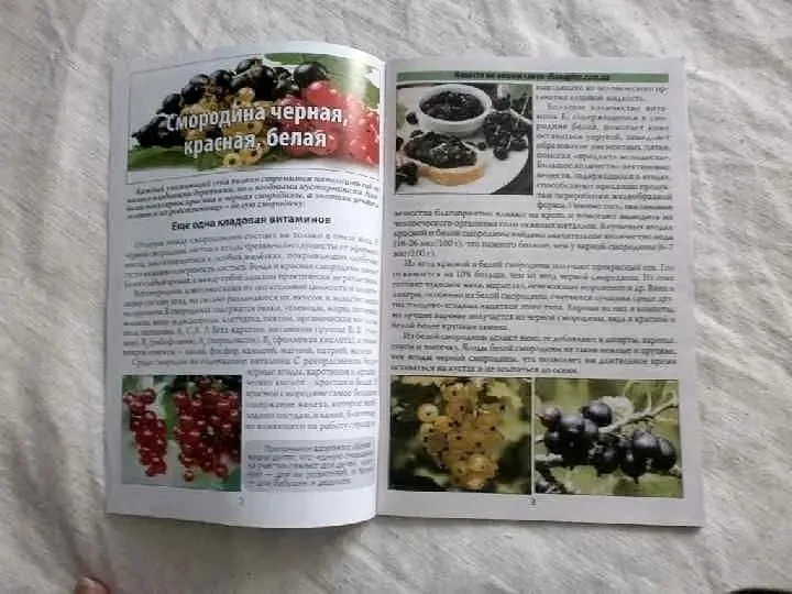 Журнал Сад-огород.1 экземпляр. 2-3 - 2015 4