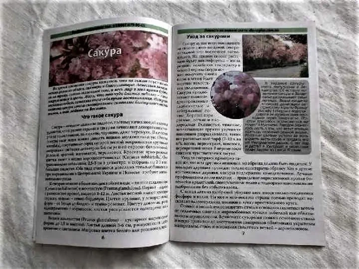 Журнал Сад-огород.1 экземпляр. 2-3 - 2015