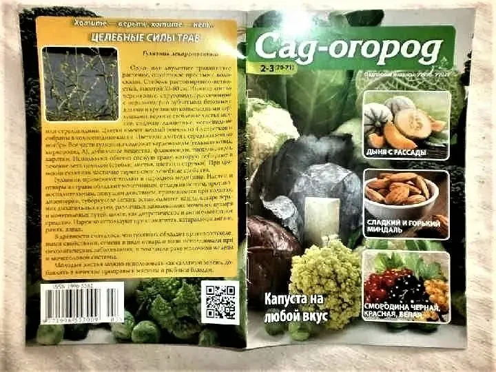 Журнал Сад-огород.1 экземпляр. 2-3 - 2015 2