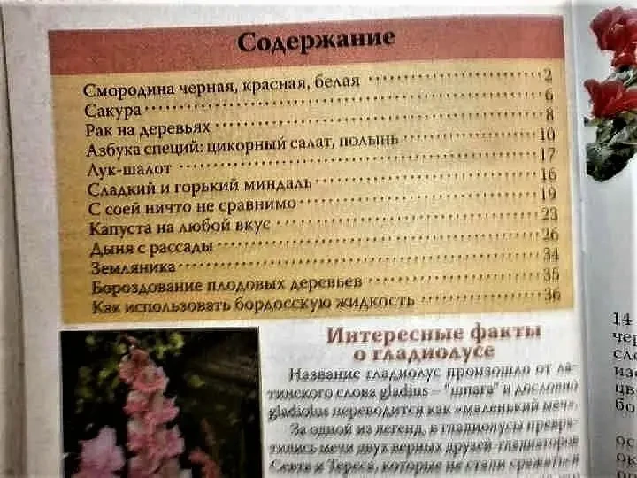 Журнал Сад-огород.1 экземпляр. 2-3 - 2015 3