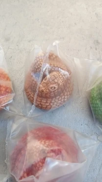 ЗМЕЙКА сувенирб к новому году