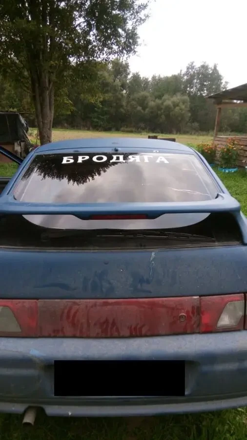 Наклейка на авто на заднее стекло Бродяга Чёрная, Белая 4