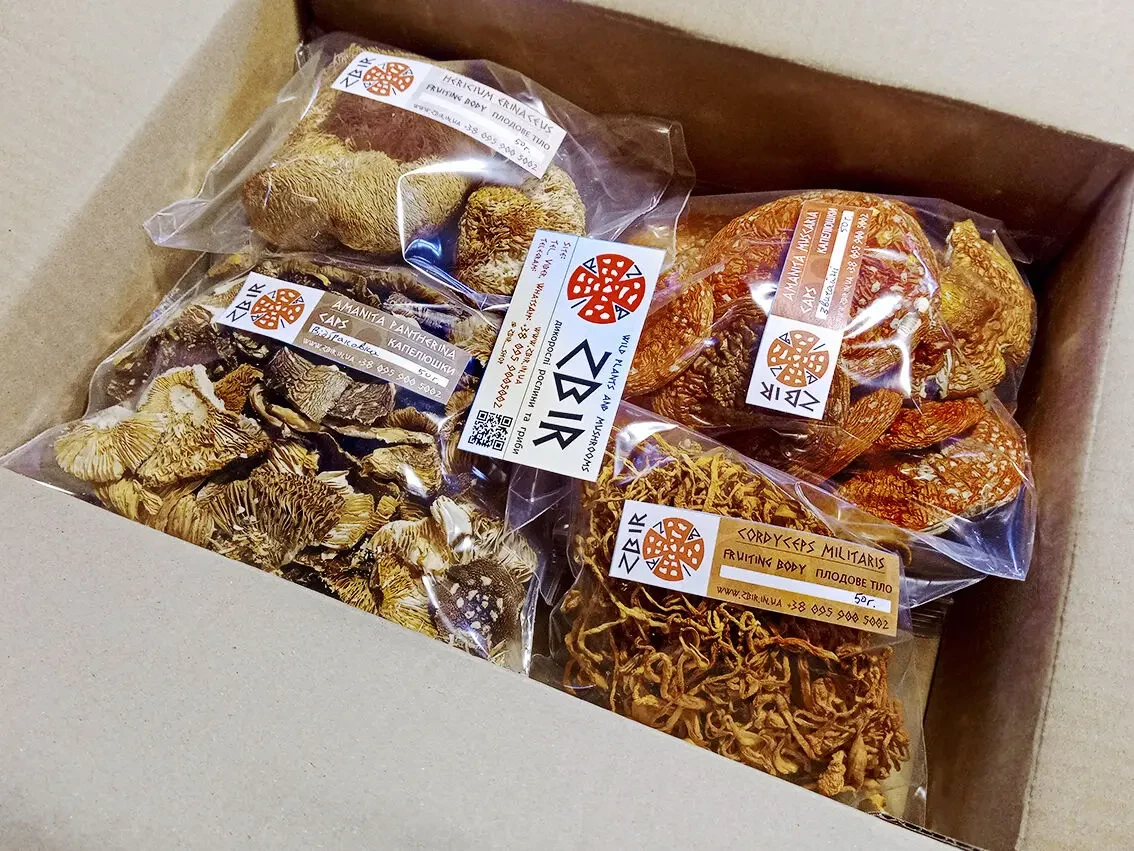 Мухомор ЧЕРВОНИЙ (Amanita Muscaria), сушені капелюшки. 8