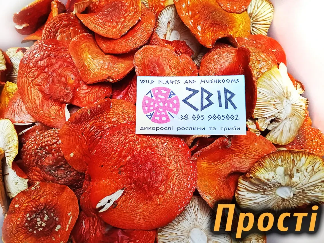 Мухомор ЧЕРВОНИЙ (Amanita Muscaria), сушені капелюшки. 4