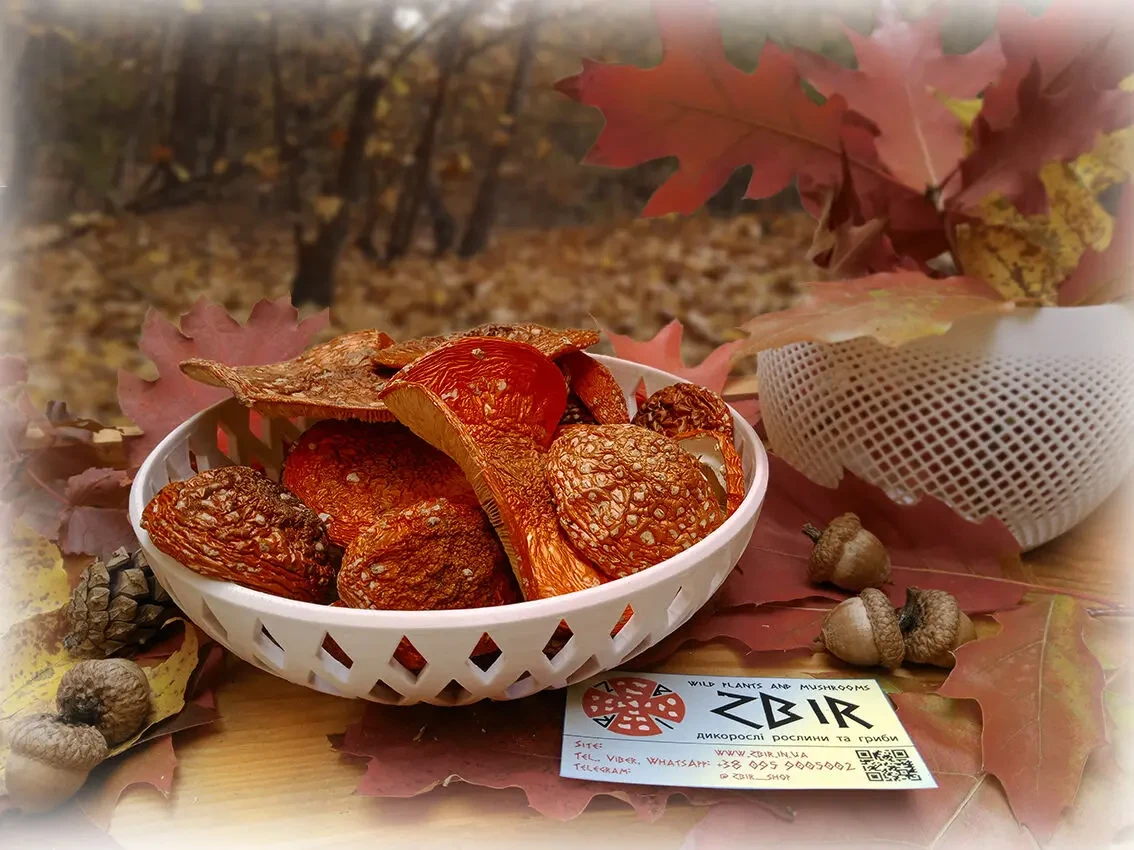 Мухомор ЧЕРВОНИЙ (Amanita Muscaria), сушені капелюшки.