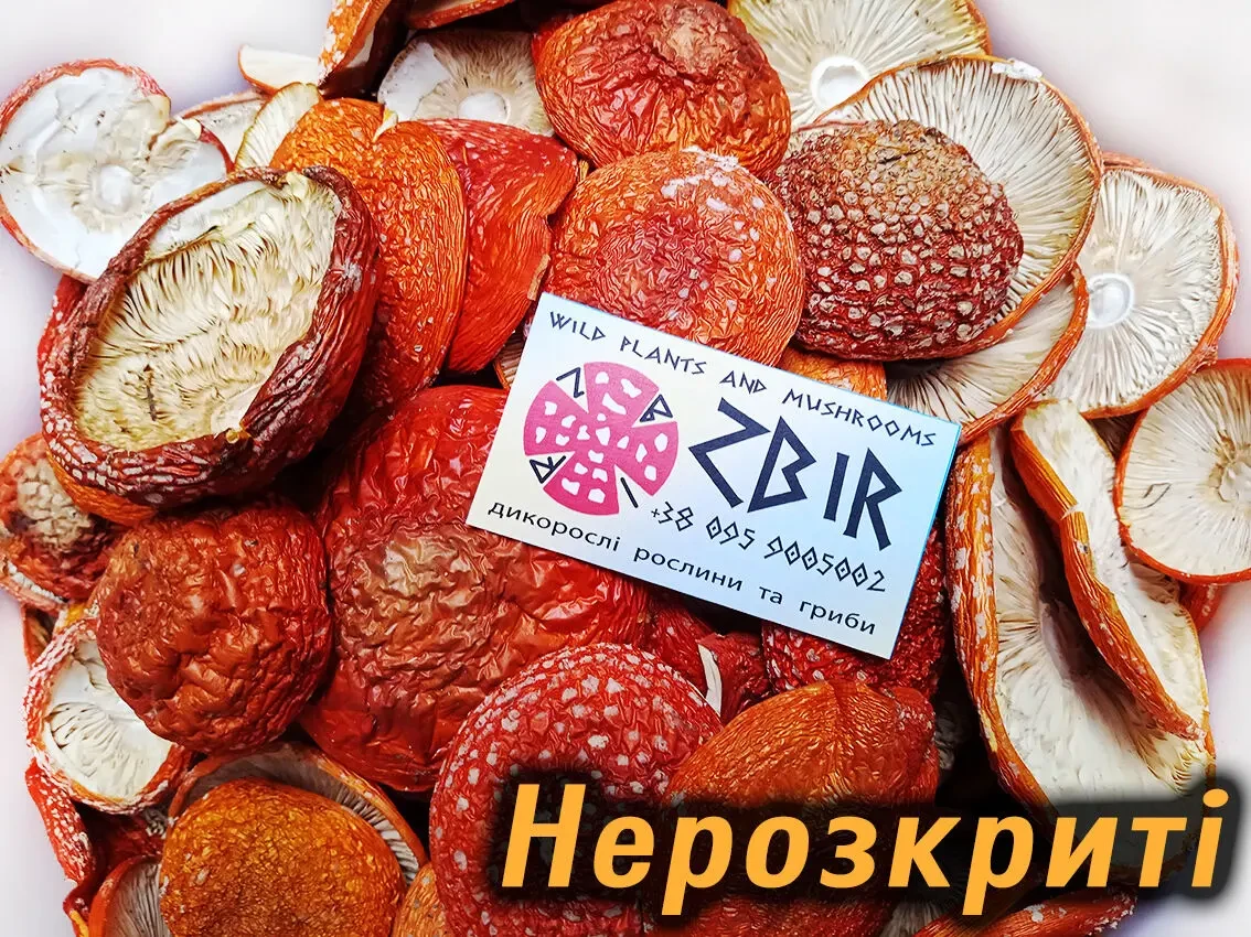 Мухомор ЧЕРВОНИЙ (Amanita Muscaria), сушені капелюшки. 6