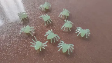 Паучки Белые фосфорные для хэллоуина пластмассовые 10 шт