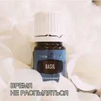 Эфирное масло Базилика терапевтическое 5 мл