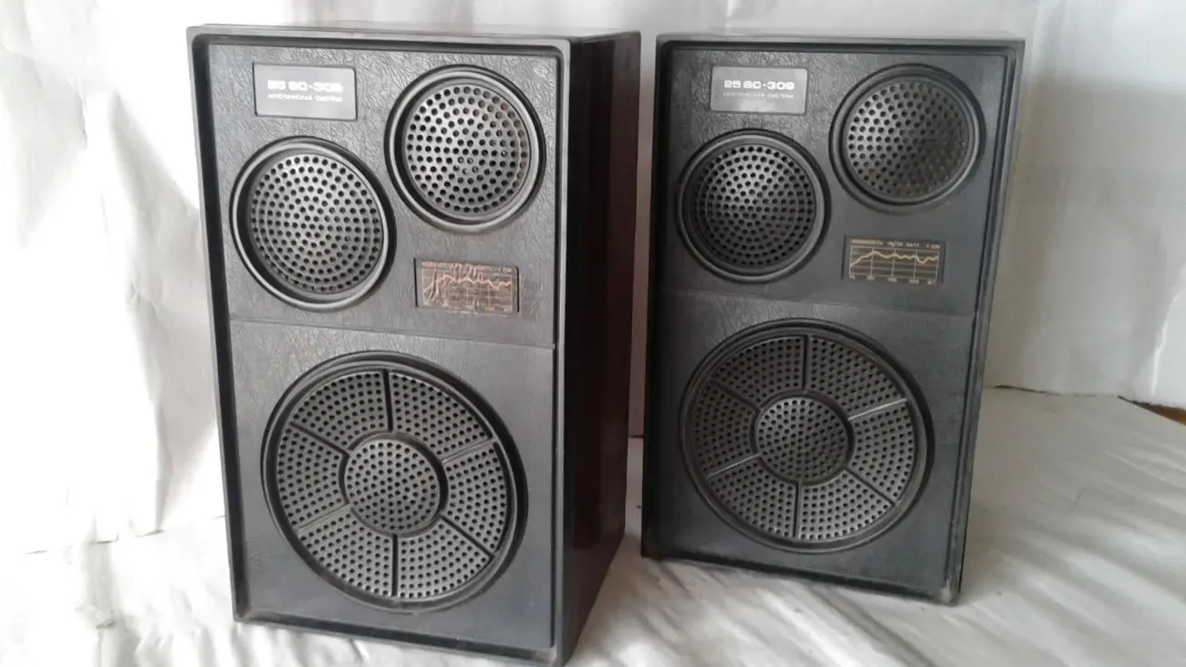 Колонки Вега 25ас-309 2