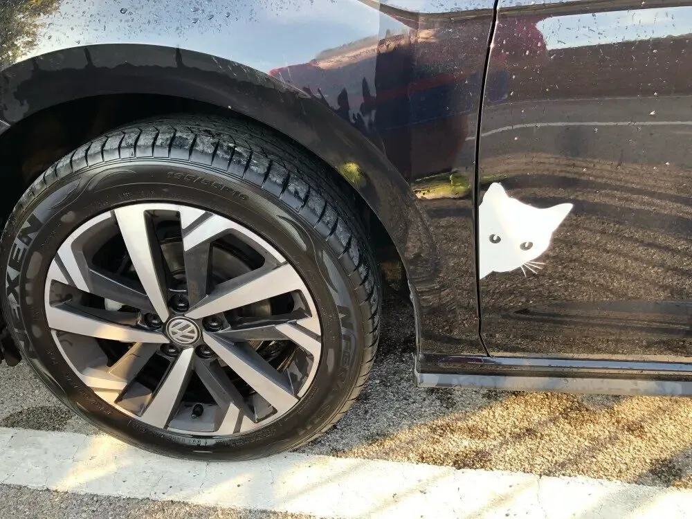 Наклейка на авто Волк и Кот Белая светоотражающая 3