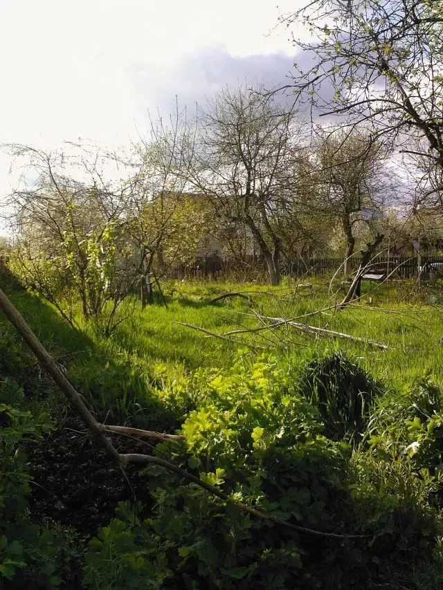 Нивки Лавіна Епіцентр продаж ділянки під будівництво 7