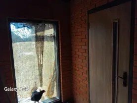 ДАЧА