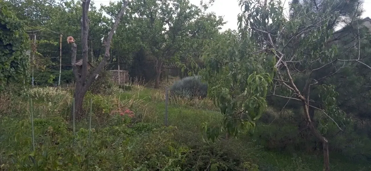 Продам дачну ділянку 3