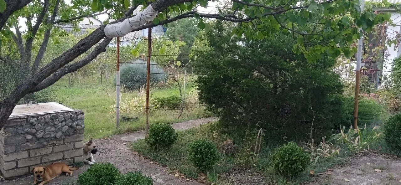 Продам дачну ділянку 7