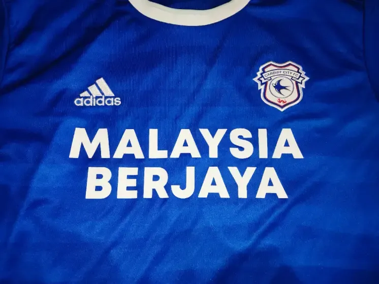 Футболка Adidas Fc Cardiff City, Smith 3