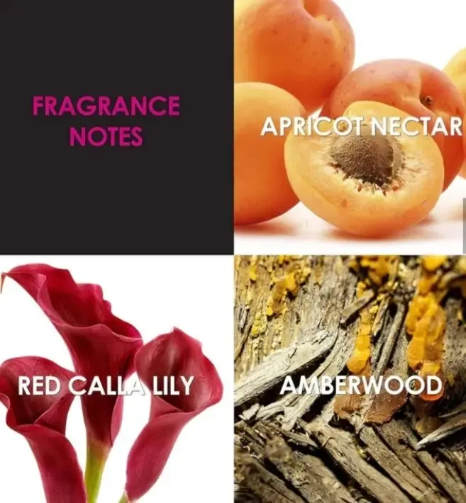 Женская парфюмированная вода Edp Пробник Britney Spears Prerogative 7