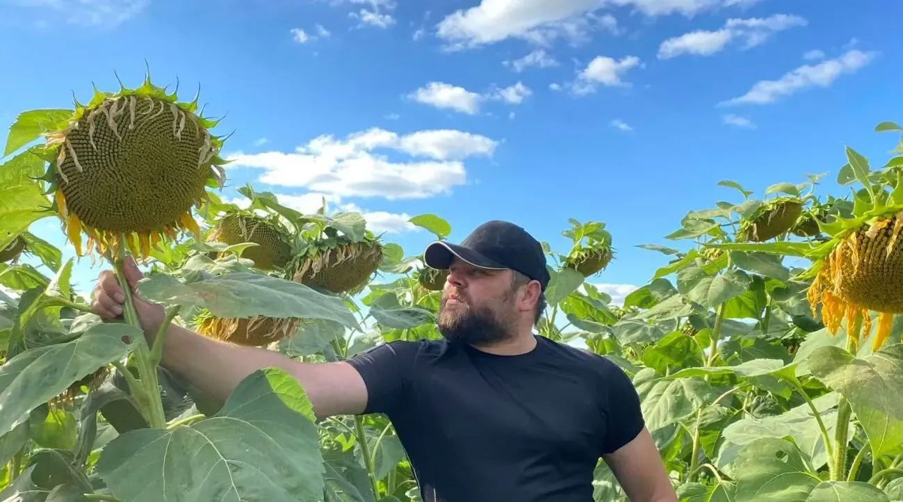 Подсолнечник НСХ 6749 SU 2