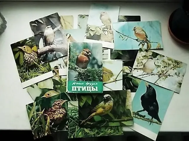 Наши друзья птицы. Набор цветных глянцевых открыток с пояснениями 3