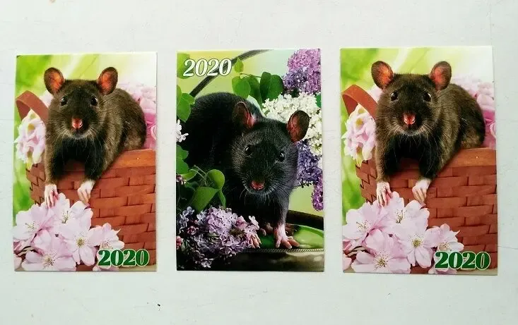 Календарик Год крысы 2020 г. 6
