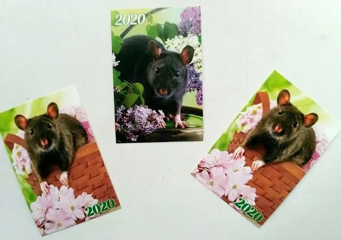 Календарик Год крысы 2020 г. 5