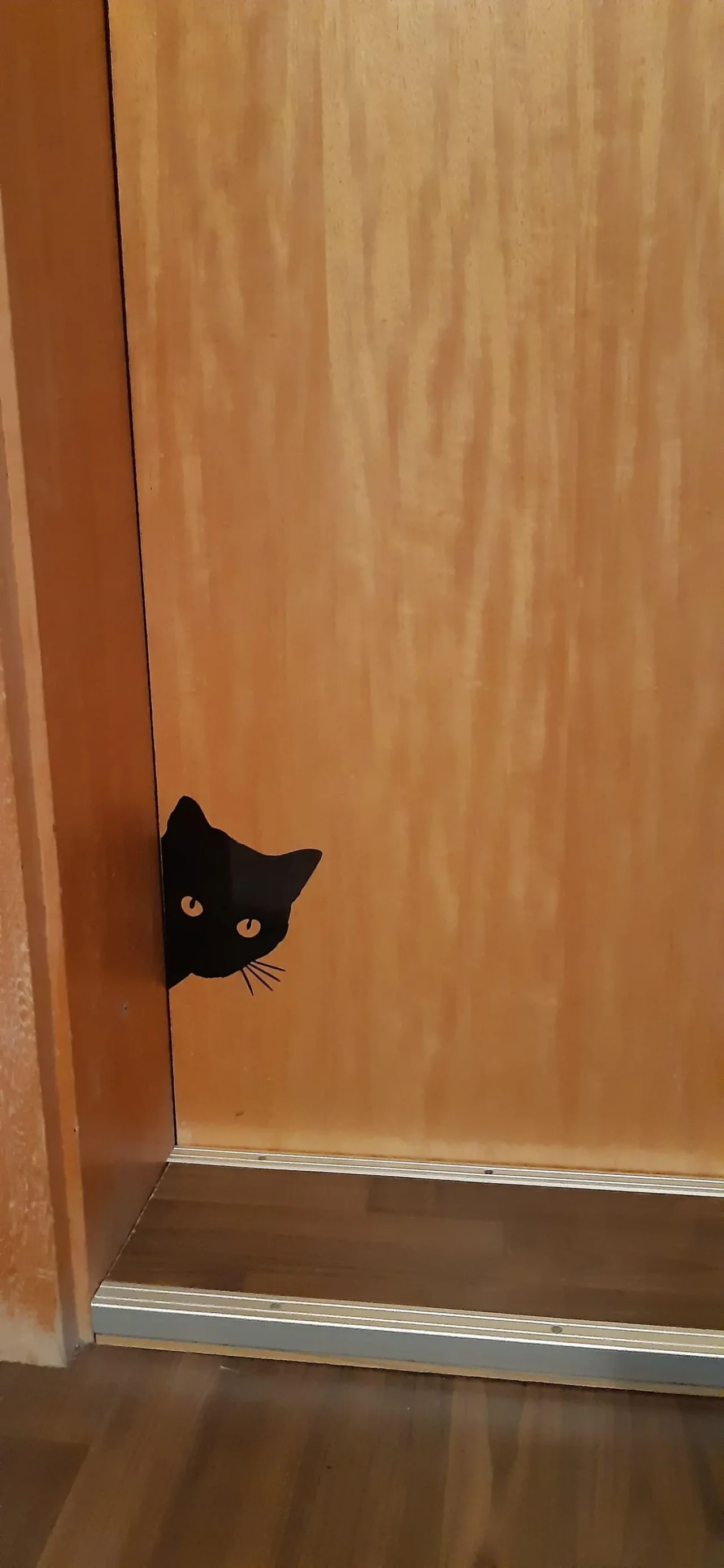 Наклейка на авто Кот Белая светоотражающая 4