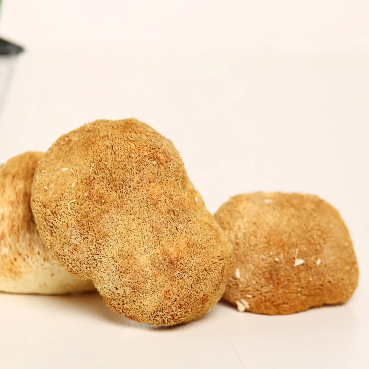 Їжовик левова грива 50г