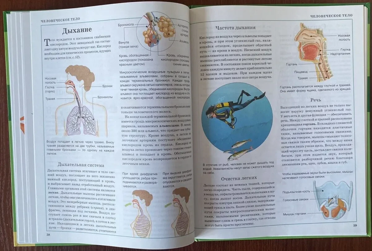 Книга Живой мир Стив Паркер 2008 год кксд 9