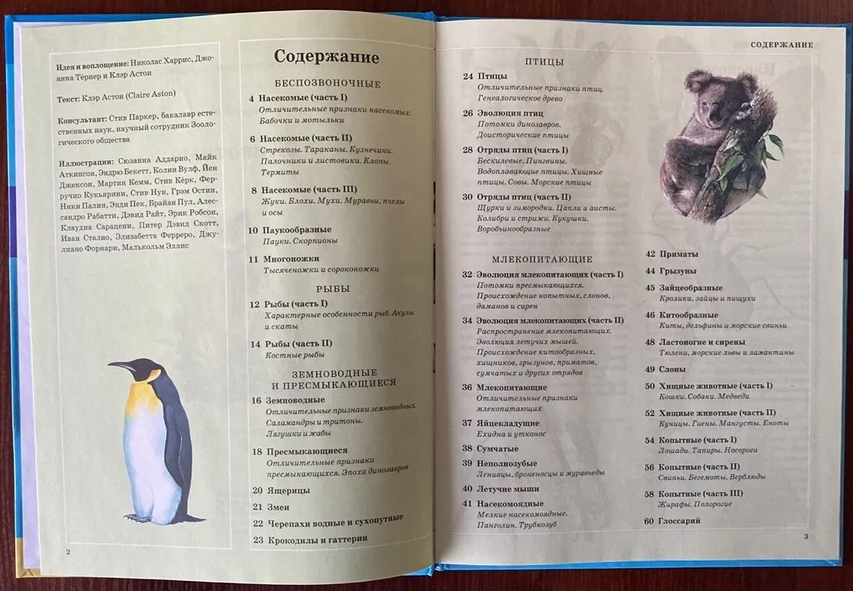 Книга Животные Клэр Астон 2008 год кксд 3