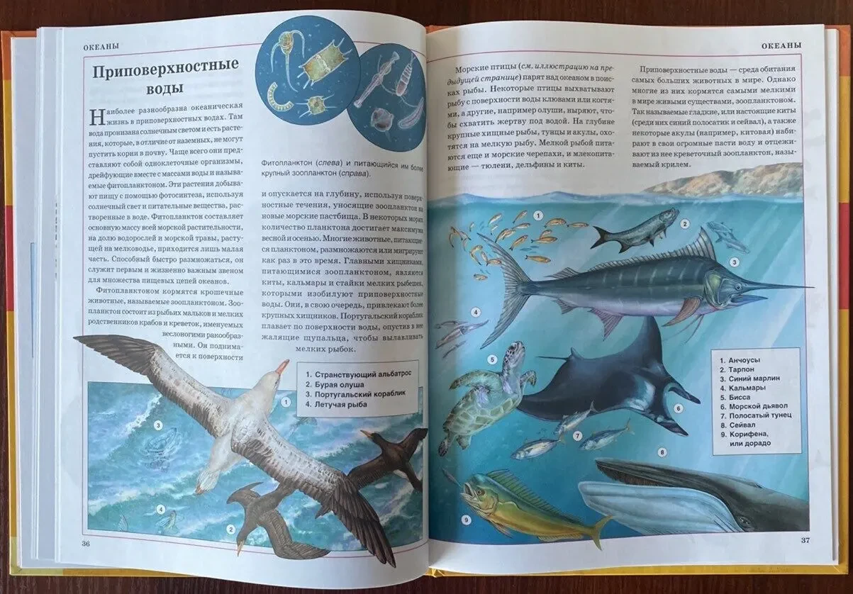 Книга Природа вокруг нас Клэр Астон Стив Паркер 2008 год кксд 7