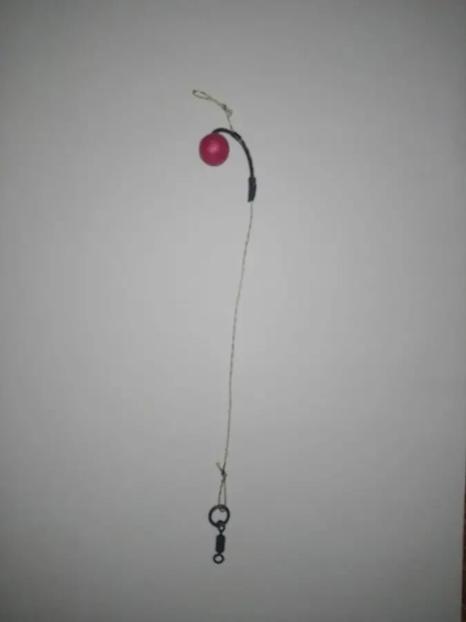 Монтаж на осторожную рыбу, карп , амур 7