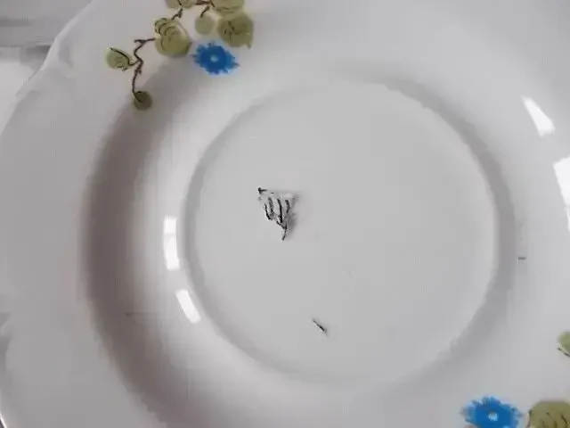 Ткань хлопок - шелк батист натуральный тонкий For Hand Made, рукоделия 10