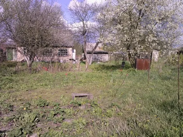 Нивки стара дача Лавіна Епіцентр 5