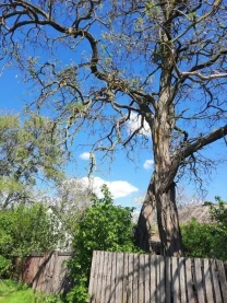 Продам 1/2 будинку с.Рогозів