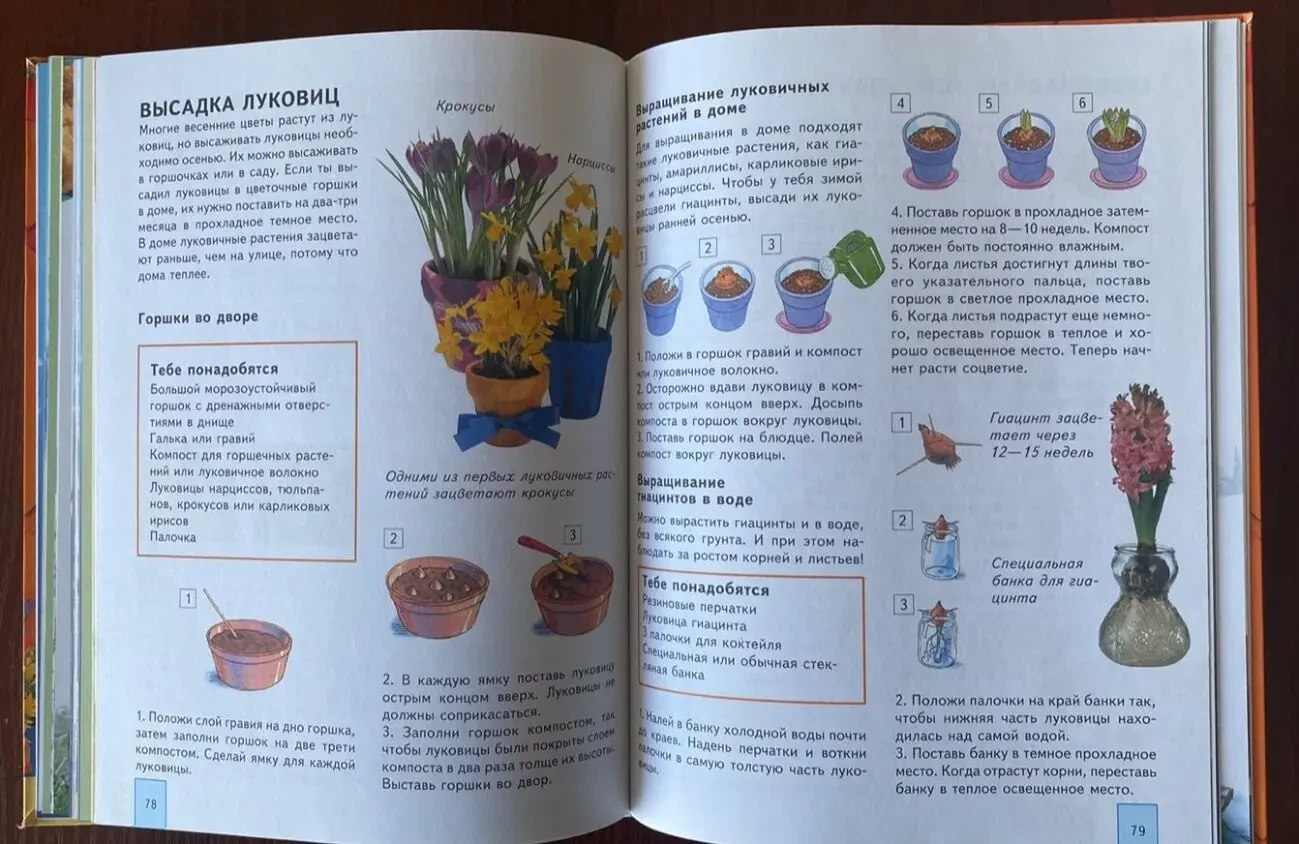 Книга Лучшие идеи для детского досуга Энджела Уилкес 2008 год кксд 9