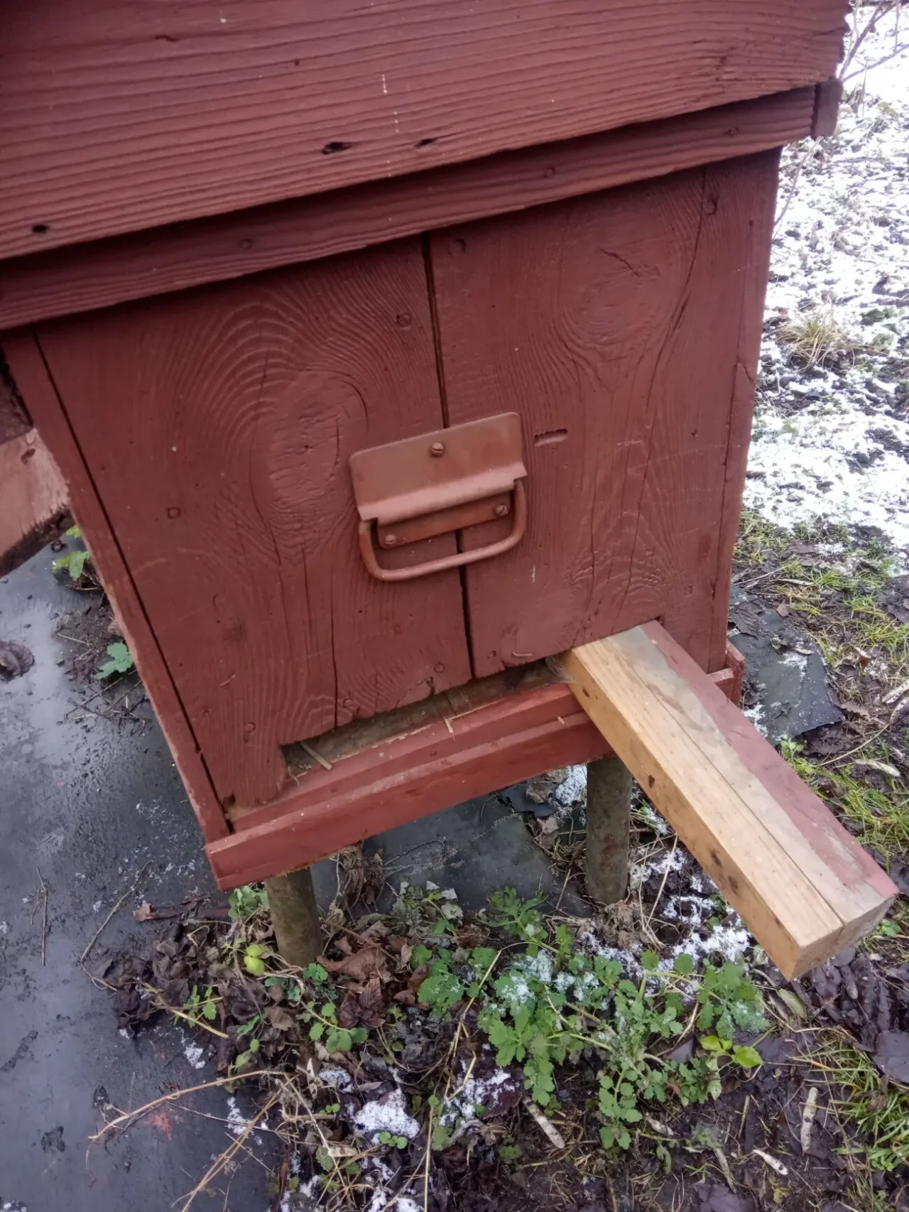 Вулик украінський лежак 5