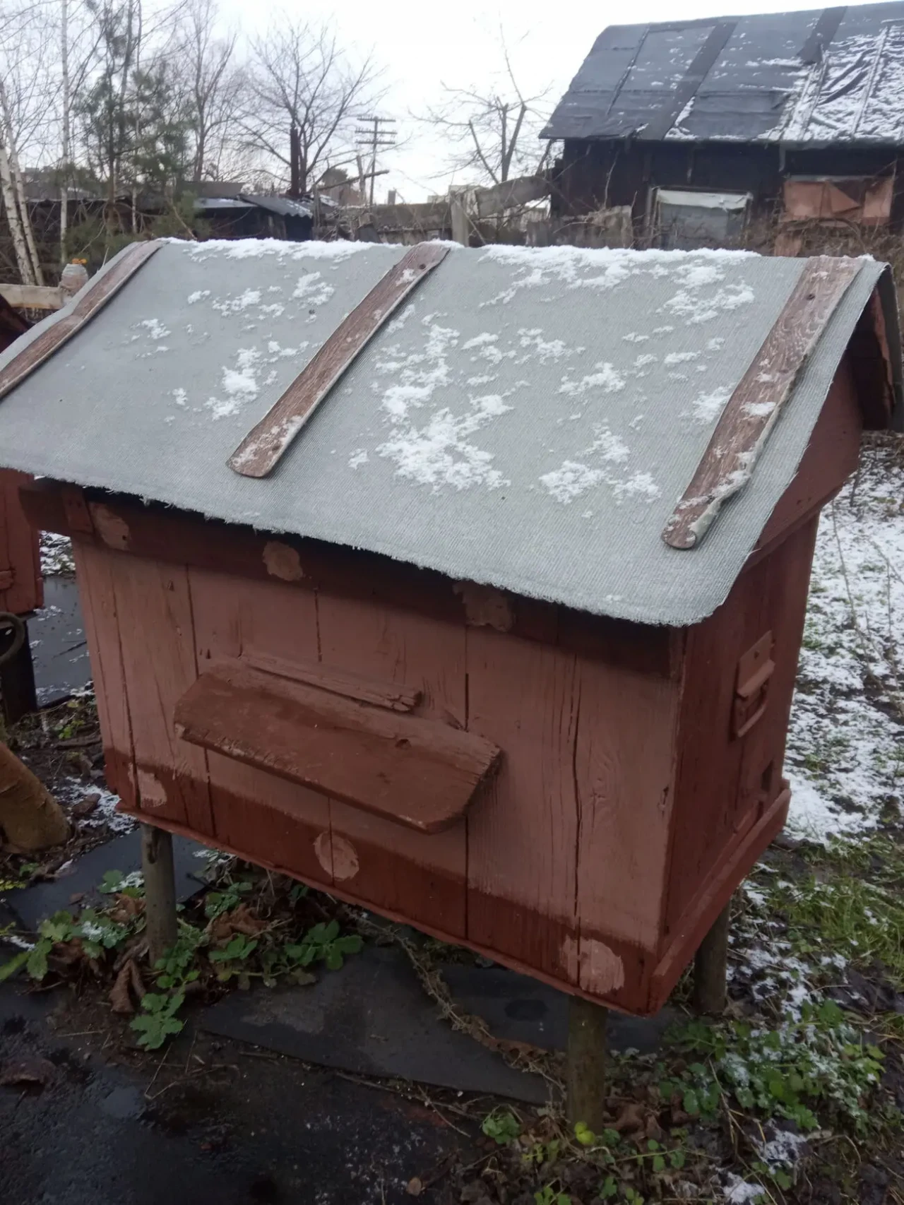 Вулик украінський лежак