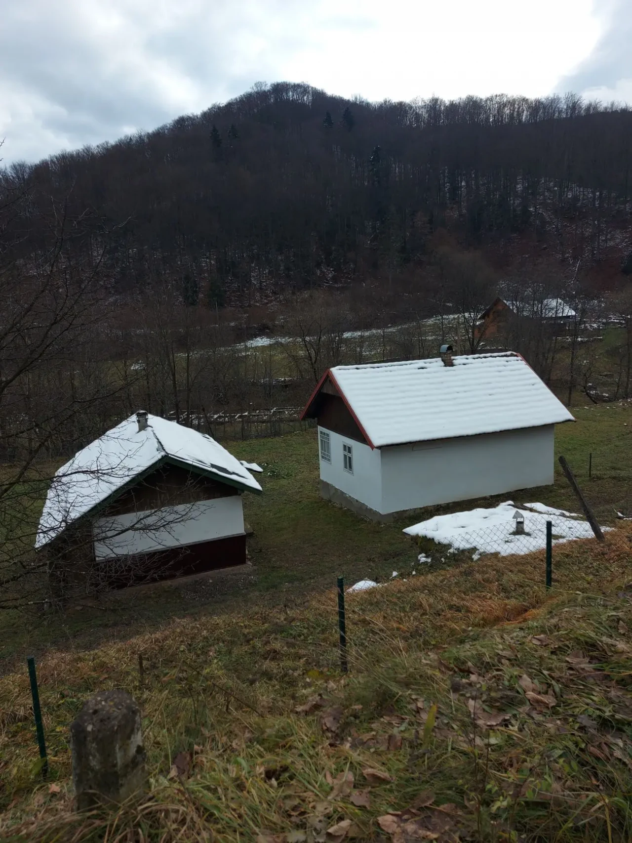 Будинок Вижницький р-н с. Виженка 4