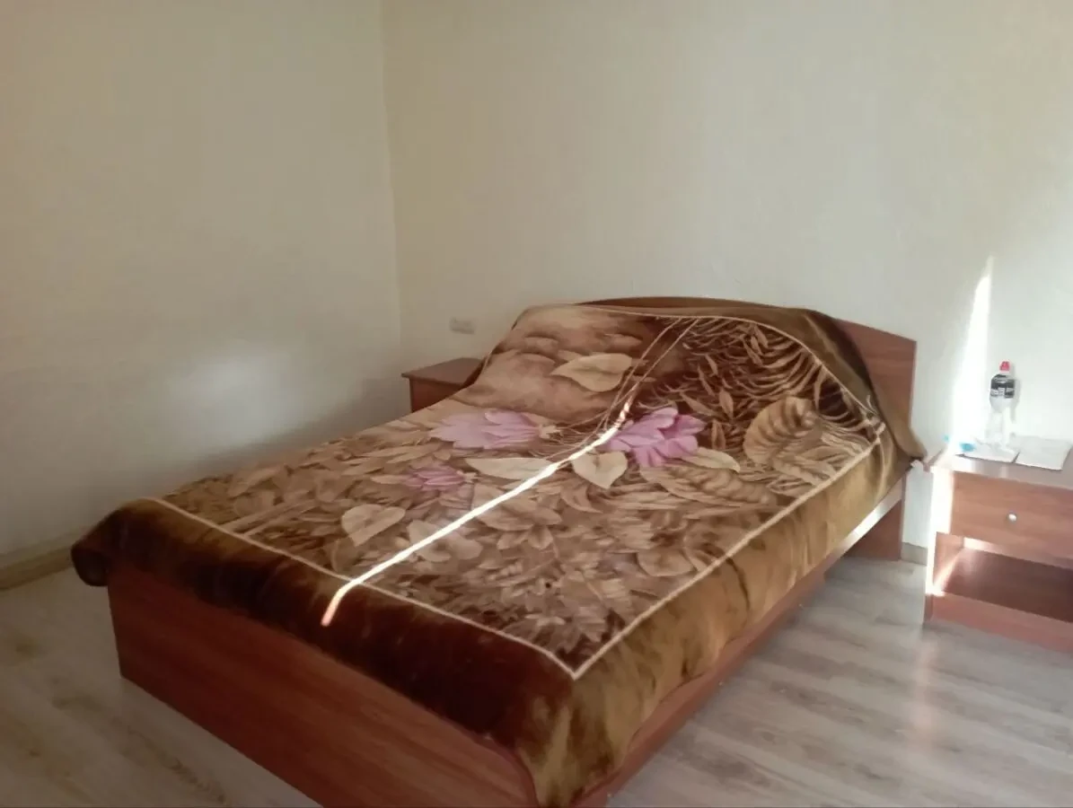 дом для большой семьи или под бизнес 2