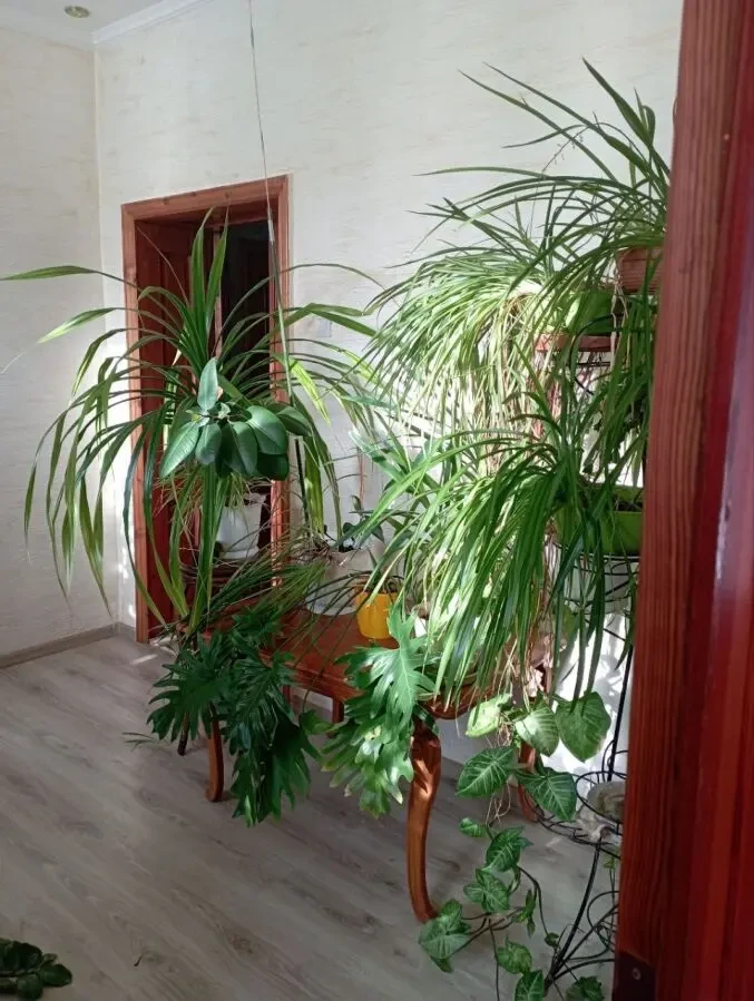 дом для большой семьи или под бизнес