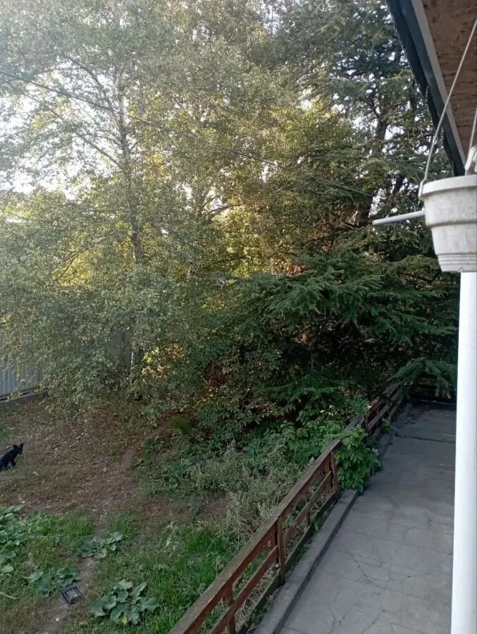 дом для большой семьи или под бизнес 5