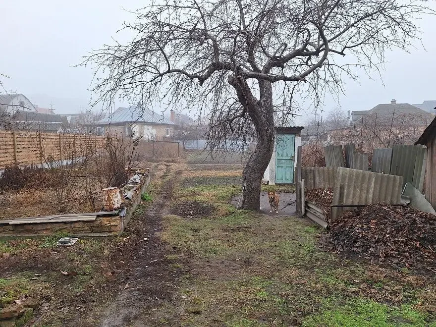 Продаж будинку, Казбет, вул. І. Франка, 7,5 сотки землі 3