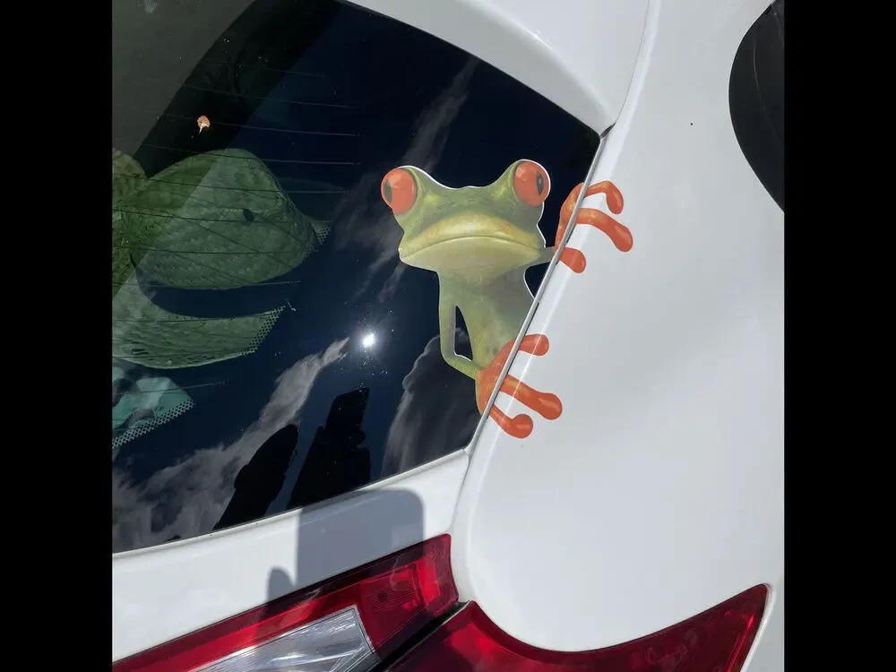 Наклейка на мото-авто Жабка-Лягушка 5