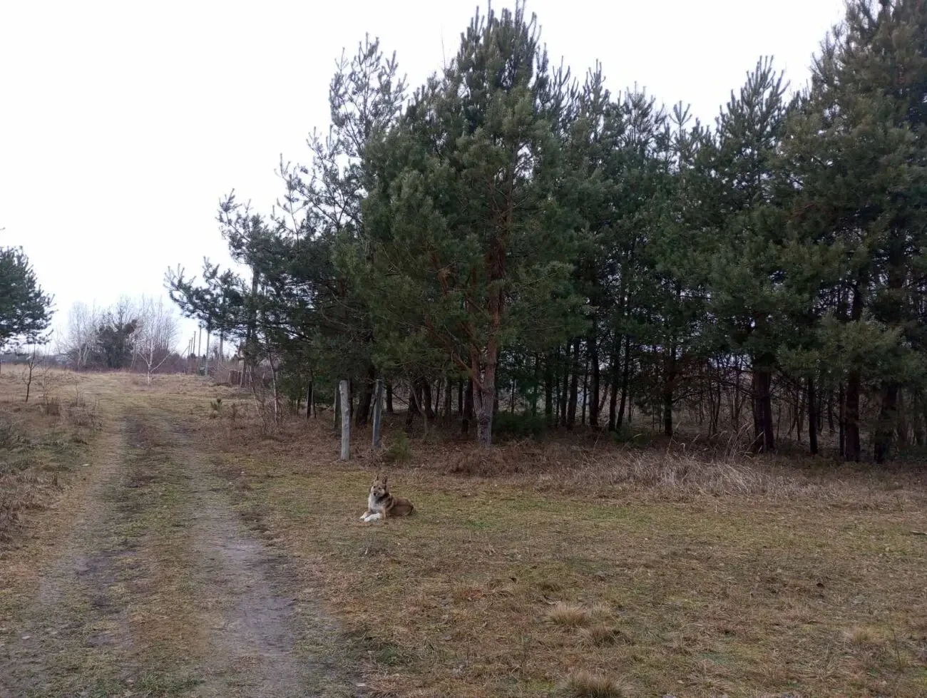 Земельна ділянка під будівництво 3