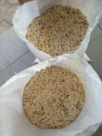 Гарбузове насіння (посівне)