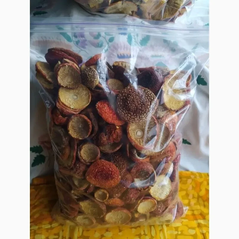 Мухомор червоний, сушений 3