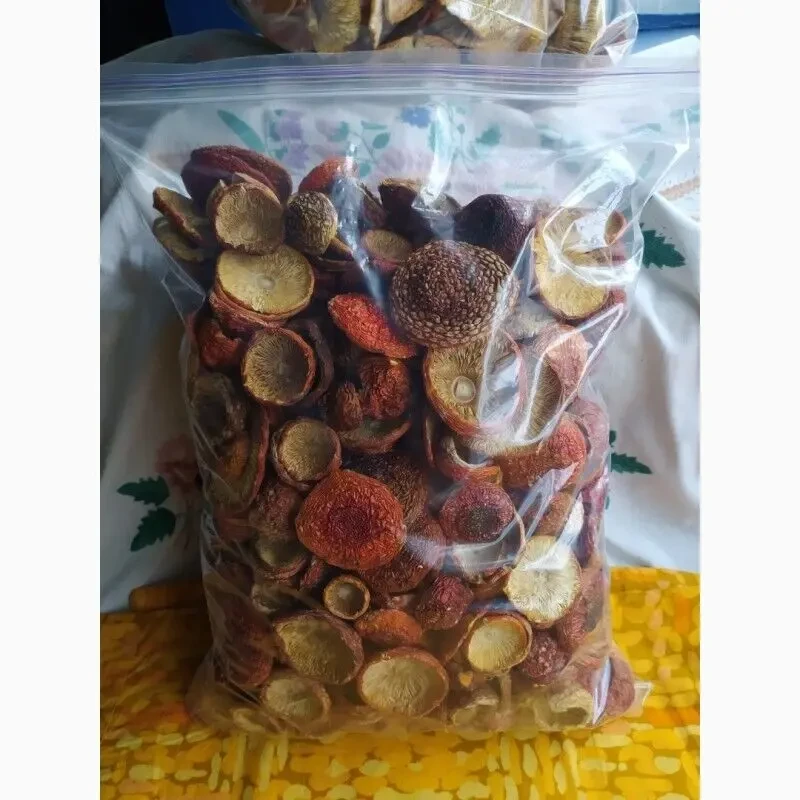 Мухомор червоний, сушений 2