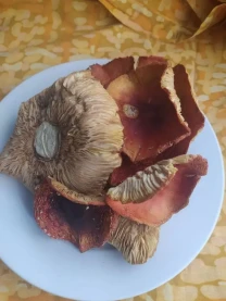 Червоний мухомор, сушений 3 сорту