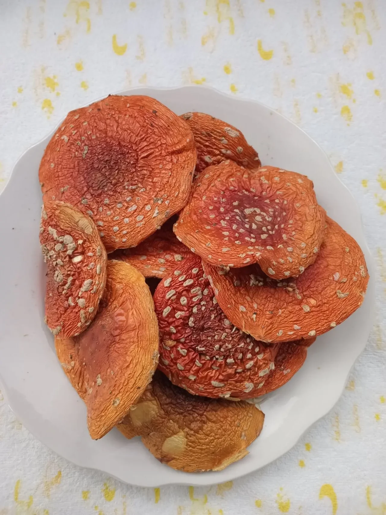 Шляпки червоного мухомора 1 сорту 3